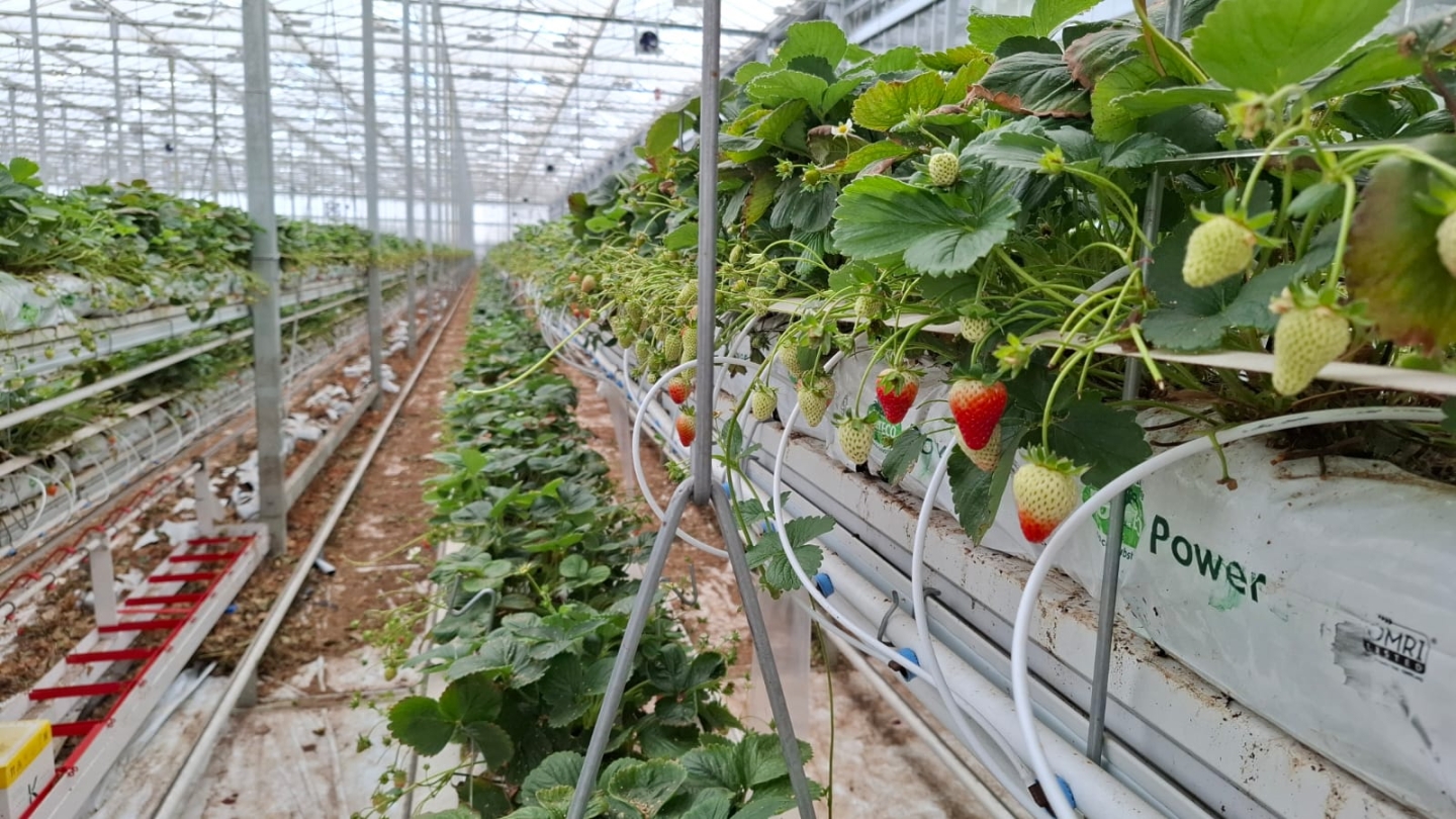 Besturing voedingswaterinstallatie